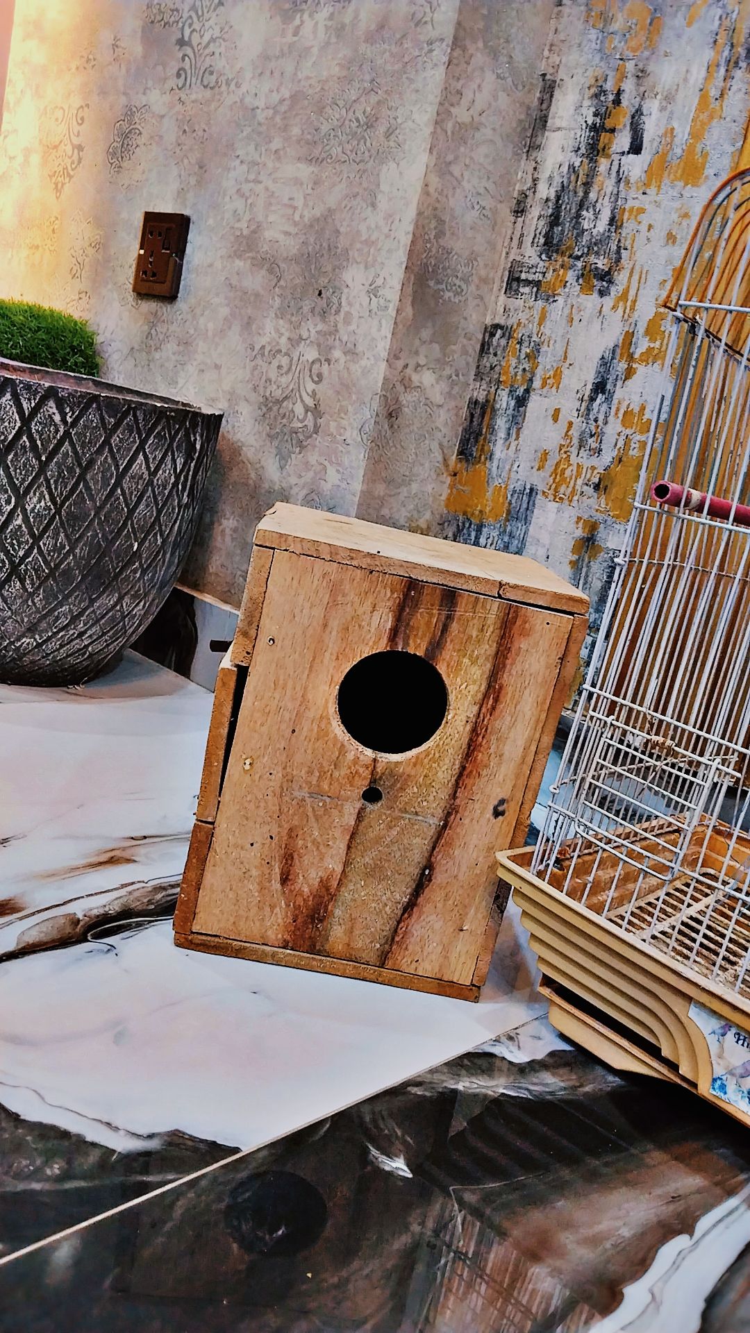Fancy Parrots Cage