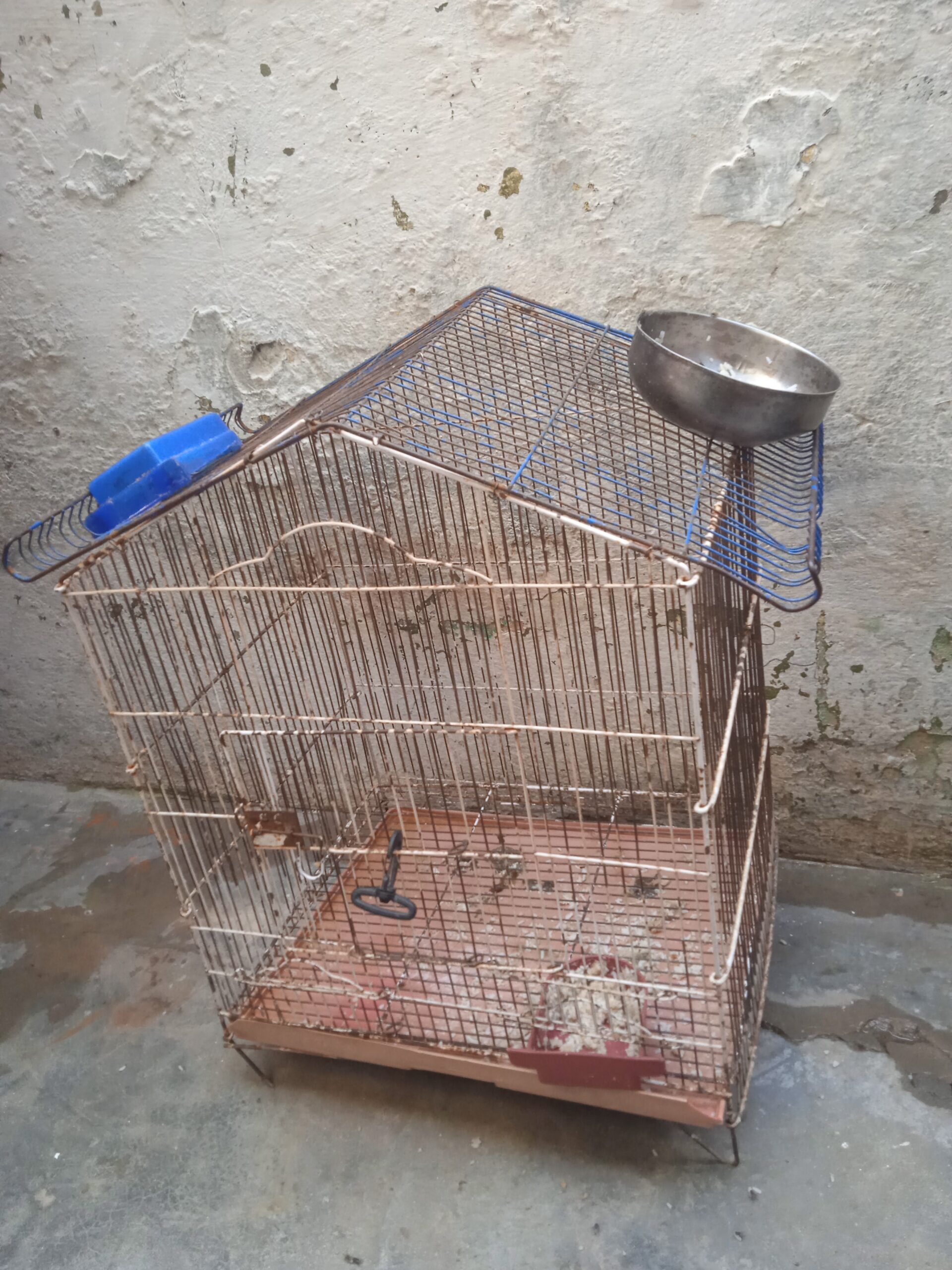 Cage sale