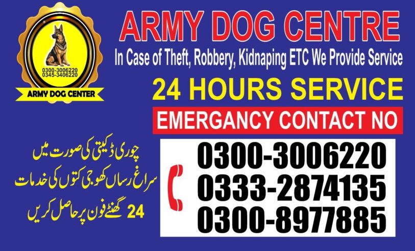 Army Dog Center | MORO | 03008977885