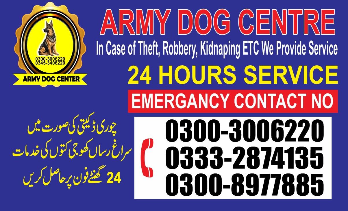 Army Dog Center | MORO | 03008977885