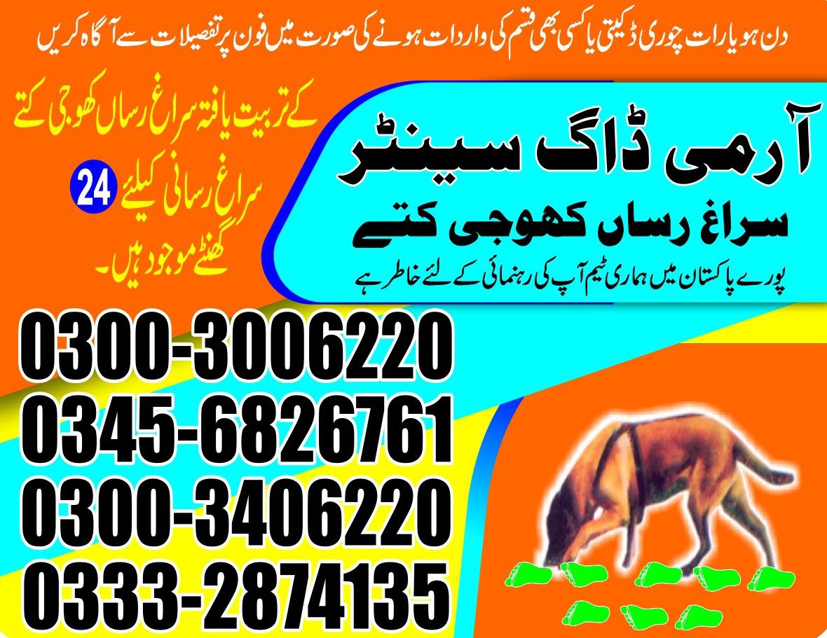 Army Dog Center | Hyderabad | 03003006220