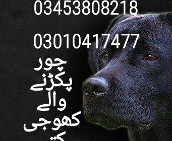 23a6d3f4-d3b4-4cfc-80c7-dd6ab52fd9d6