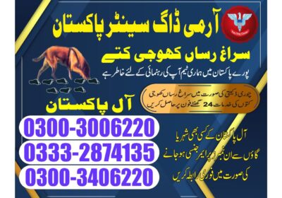 246a46f4-a461-4879-8053-c9afdbd49981