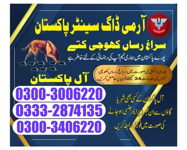 Army Dog Center | Dadu | Moro | 03003006220