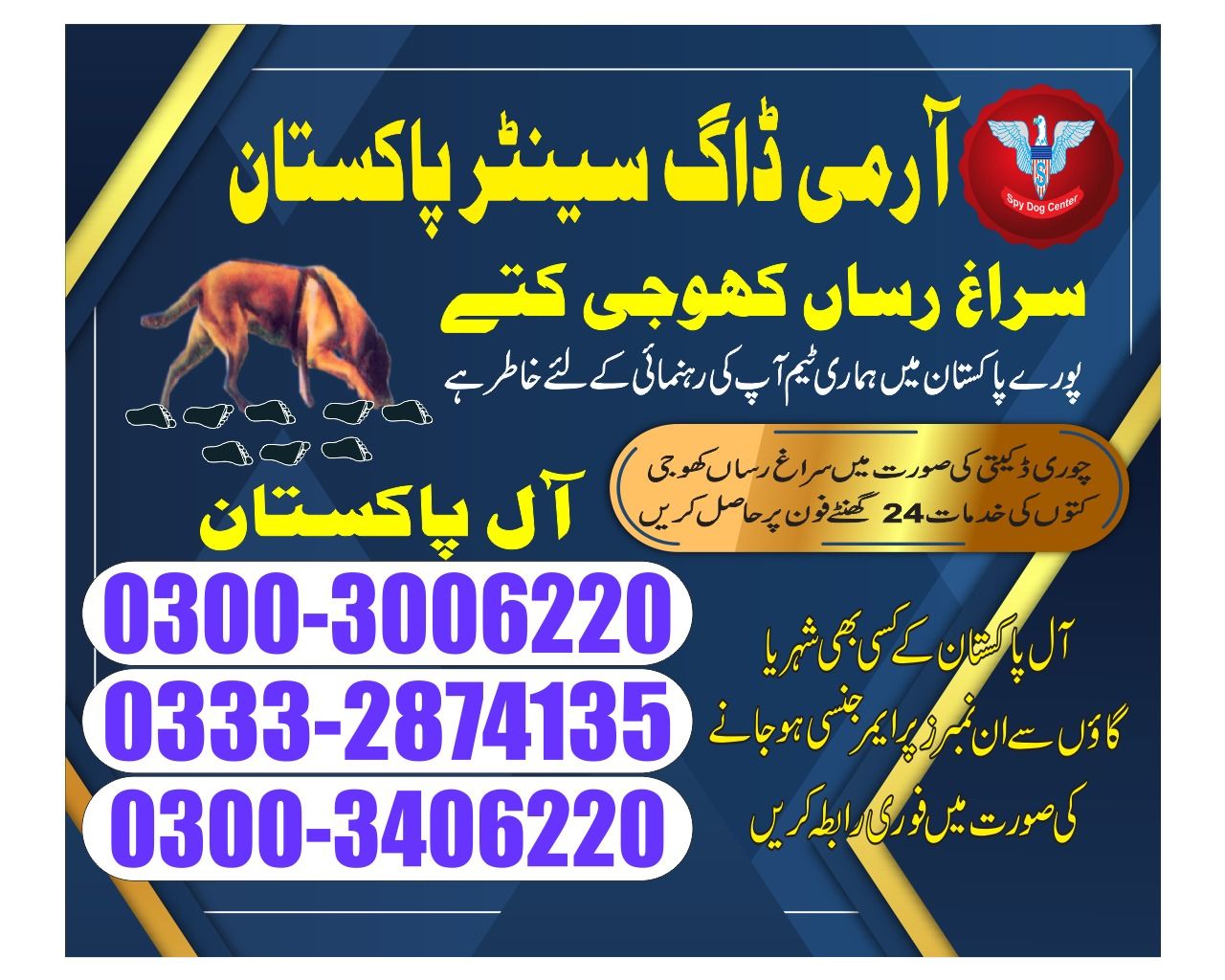 Army Dog Center | Dadu | Moro | 03003006220
