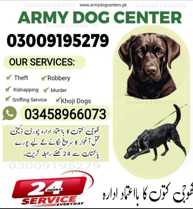 Army dog center dadu Sindh 03018665280