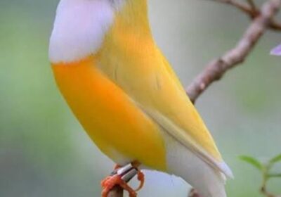2ac24b5c-7950-470b-8b01-15efdab0e7fd