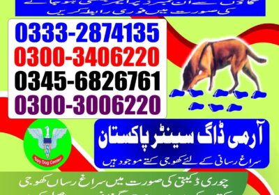 36aafc80-27e1-4707-95b0-60853b61139b