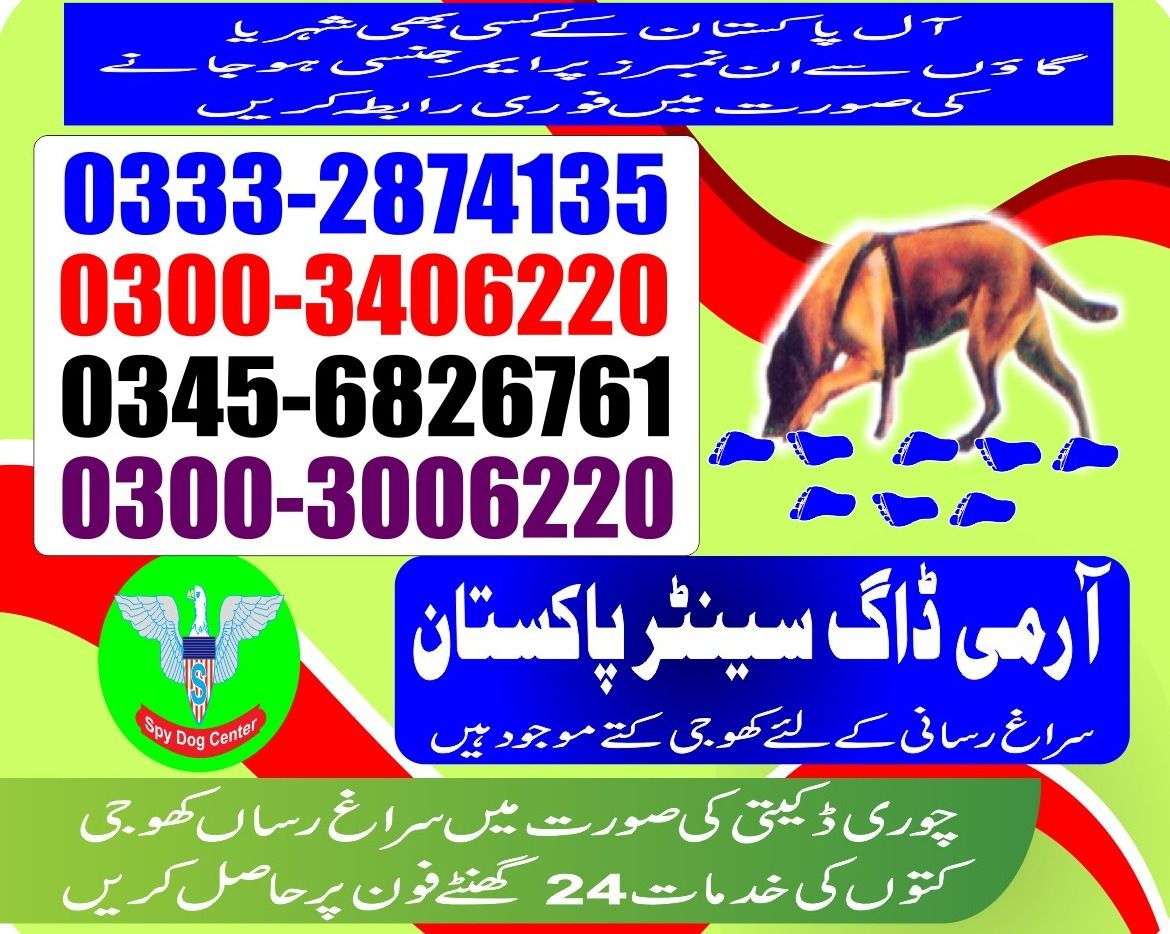 Army Dog Center | Shadadpur | Sanghar | 03332874135 | 03008977885