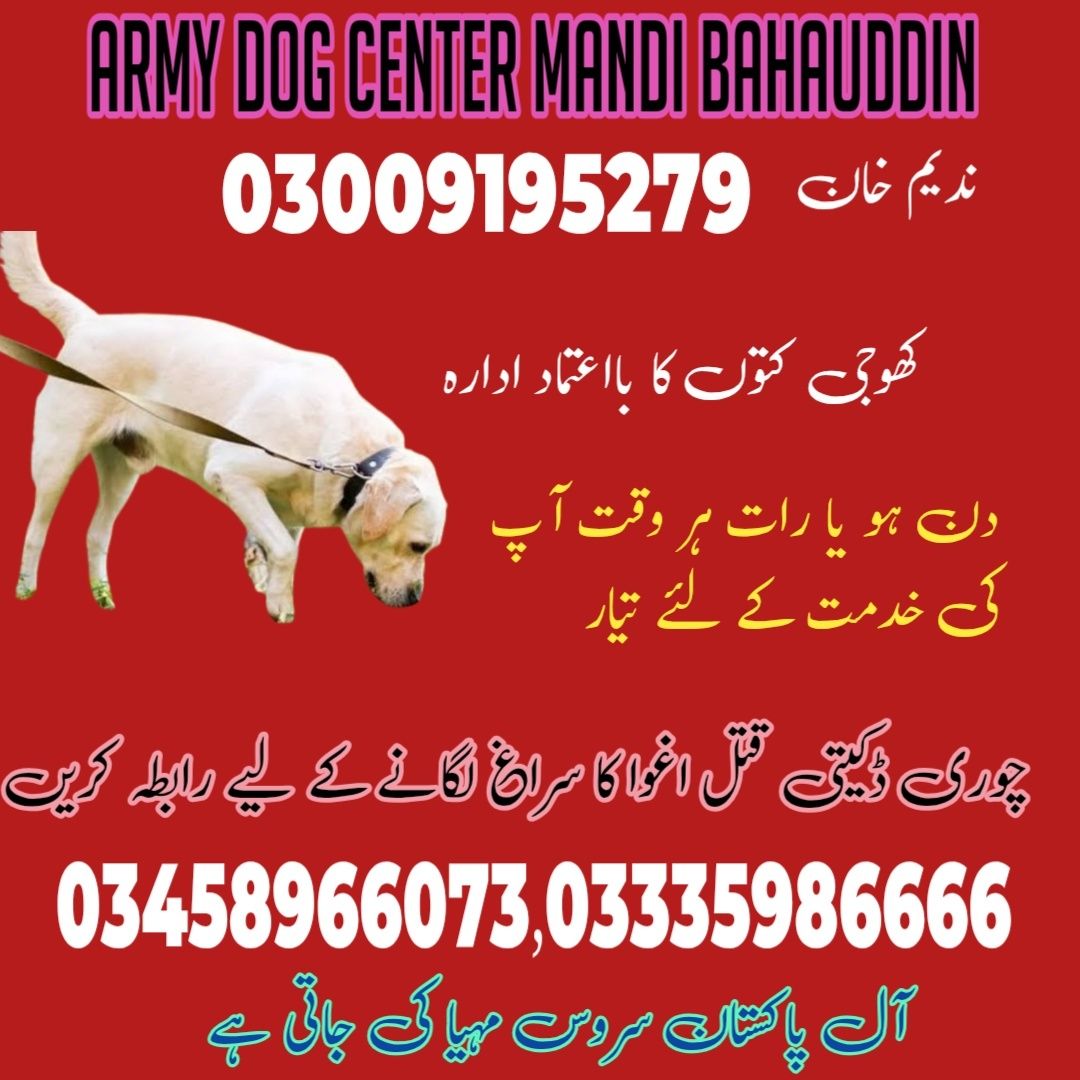 Army dog center Mandi bahauddin 03458966073