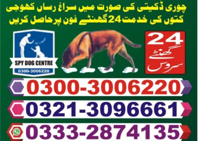 40fead51-e251-41ff-9ca3-9ebd7705863b