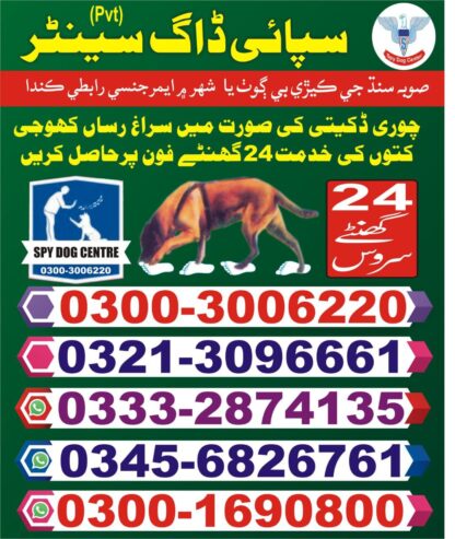 Army Dog Center | Karachi | 03003006220