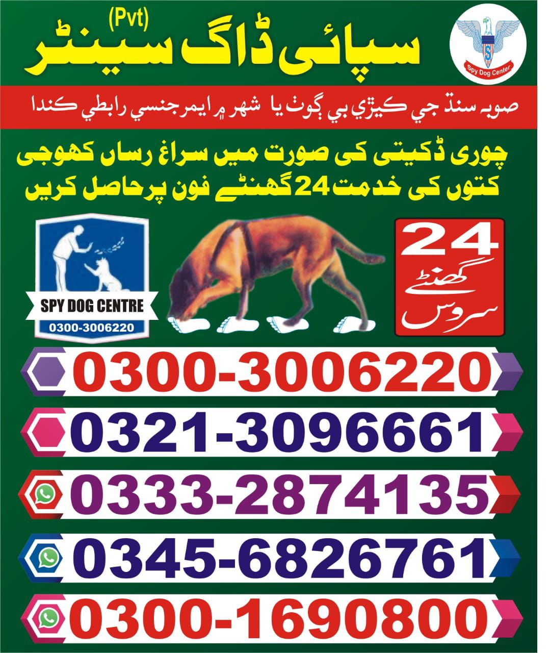 Army Dog Center | Karachi | 03003006220