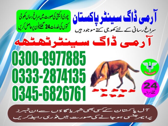 Army Dog Center | Thatta | 03332874135