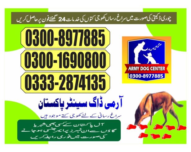 Army Dog Center | Dadu | 03008977885