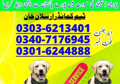 537bba63-71d6-415b-91b1-88ef29ab9a15
