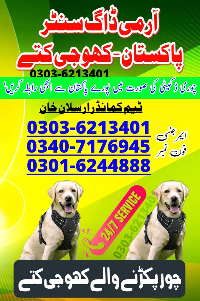 Army Dog Center Sanghar 03016244888 Khoji Dogs