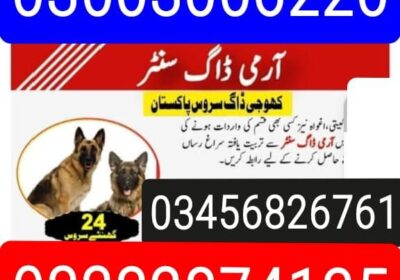 5a2bd92c-9954-4d32-96ab-a55058ff7bab