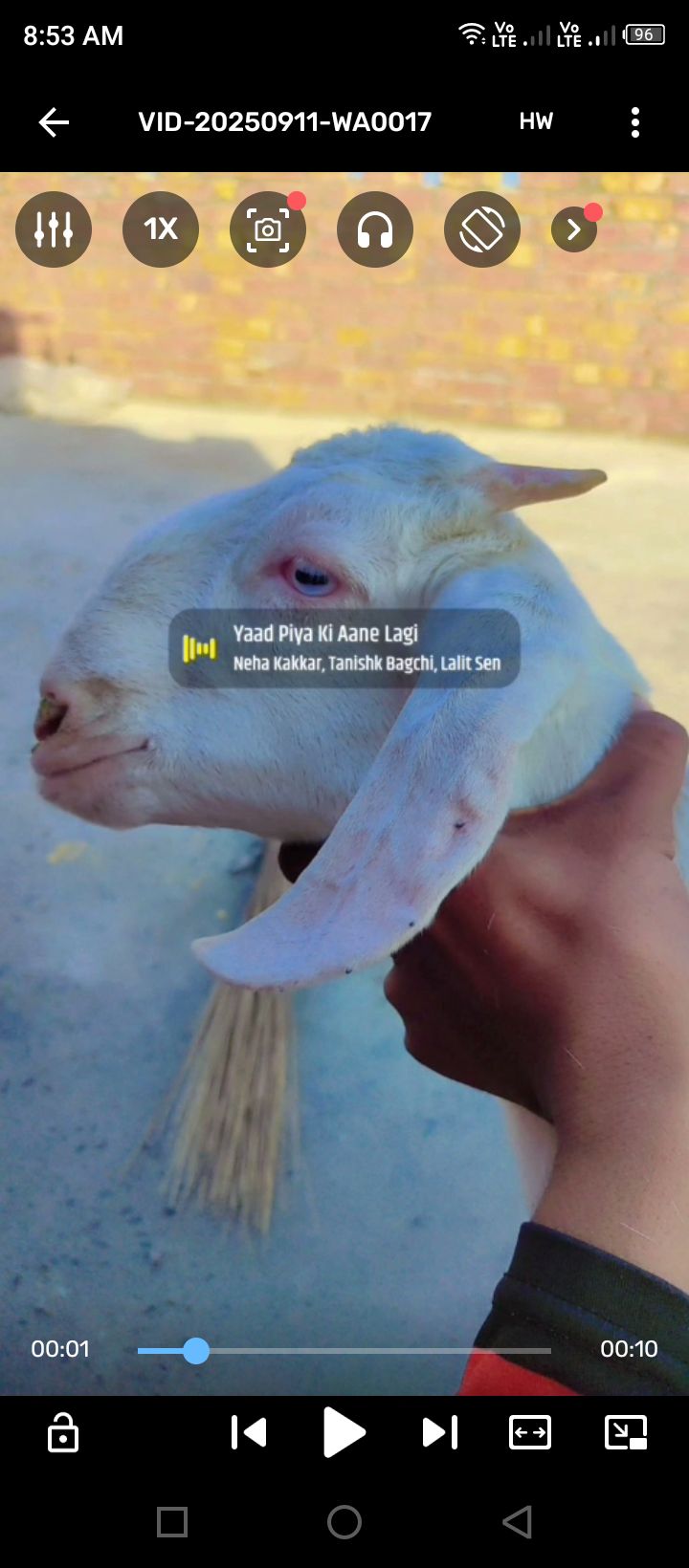 Pure Rajan Puri male femal