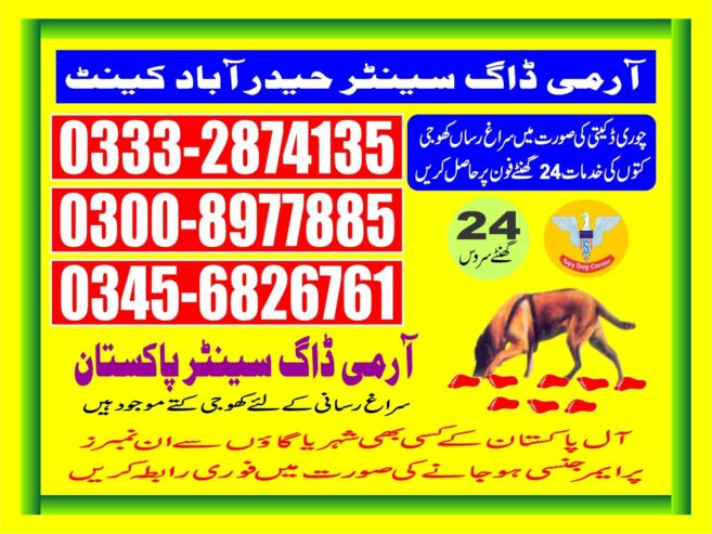 Army Dog Center | Hyderabad cantt | 03332874135