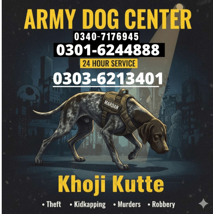 Army Dogs in Umerkot Sindh 03016244888 khoji Dogs Umerkot Sindh