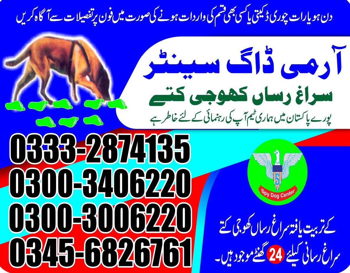 Army Dog Center | Mirpur khas | 03332874135