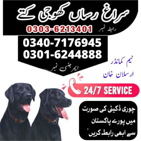 Army Dog in DG Khan 03016244888 khoji Dogs Service