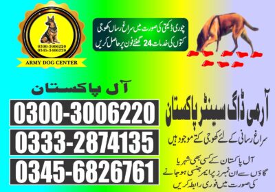 813cfc9d-8cb6-40e9-bf13-8b053c7f0a6c