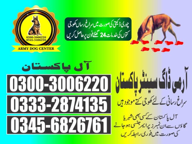 Army Dog Center | Sanghar | 03003006220