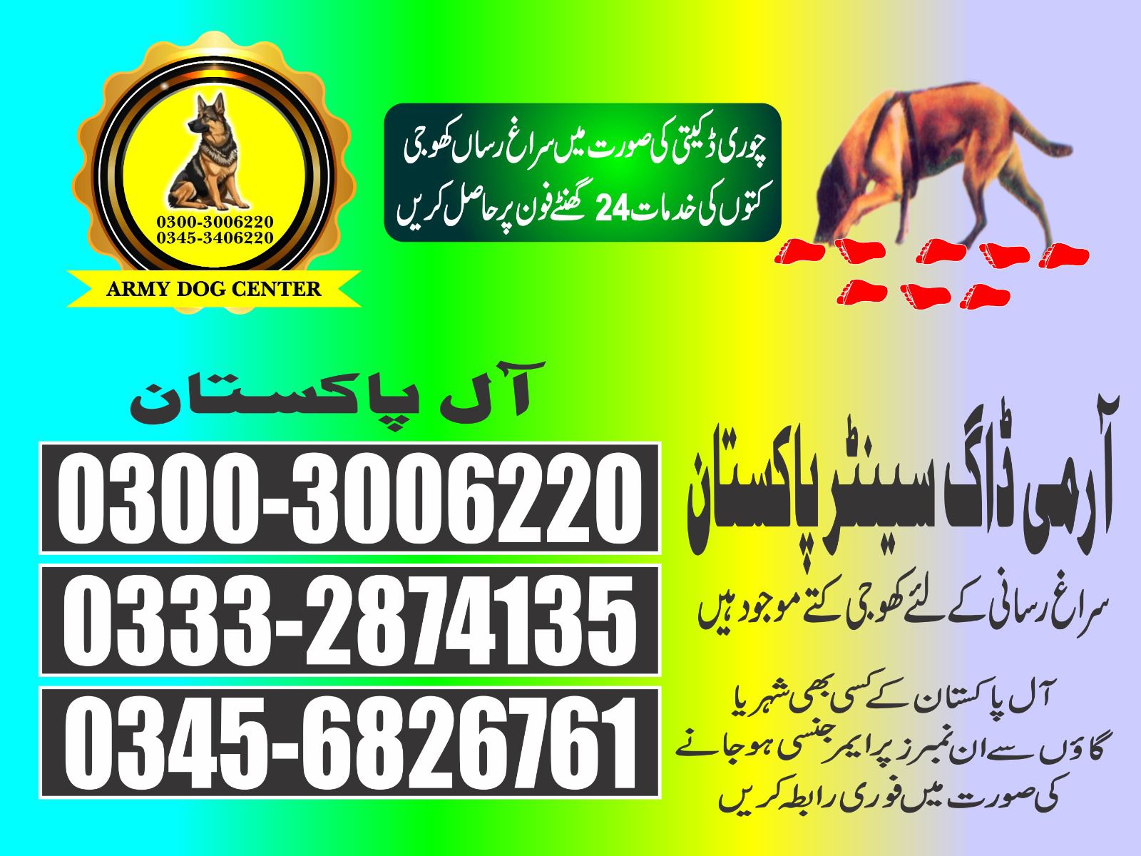 Army Dog Center | Sanghar | 03003006220