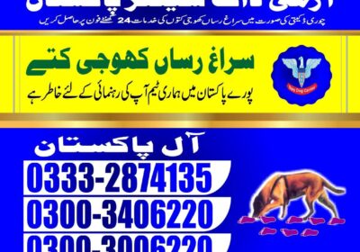 86689181-5f90-4cd0-ab76-50936fbc6d91