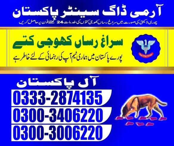 Army Dog Center | Badin | 03008977885
