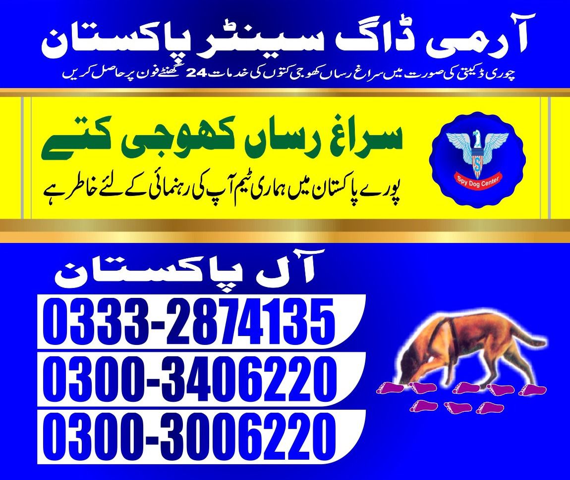 Army Dog Center | Badin | 03008977885