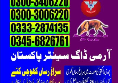 94e3d091-6fa2-4d2a-9c44-67e8a0345af4