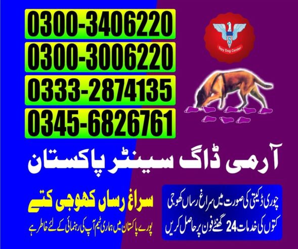 Army Dog Center | Hyderabad | 03003406220
