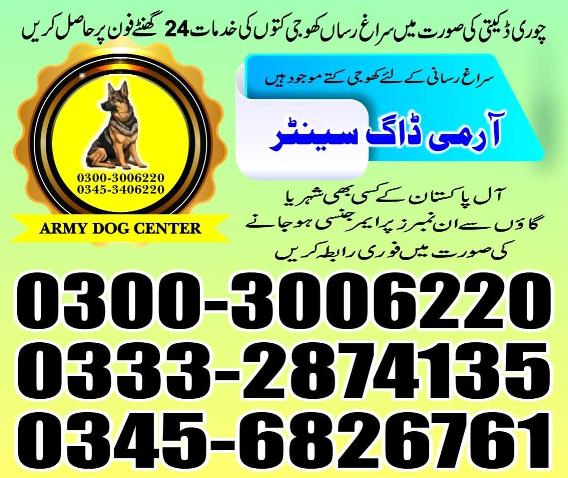Army Dog Center | Shadadpur | Sanghar | 03003006220