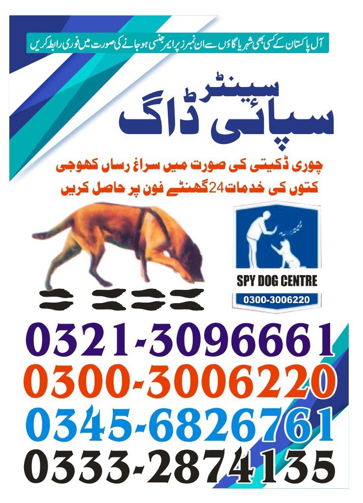 Army Dog Center | Thatta | 03213096661