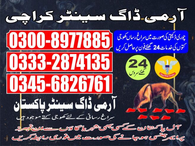 Army Dog Center | Karachi | 03008977885