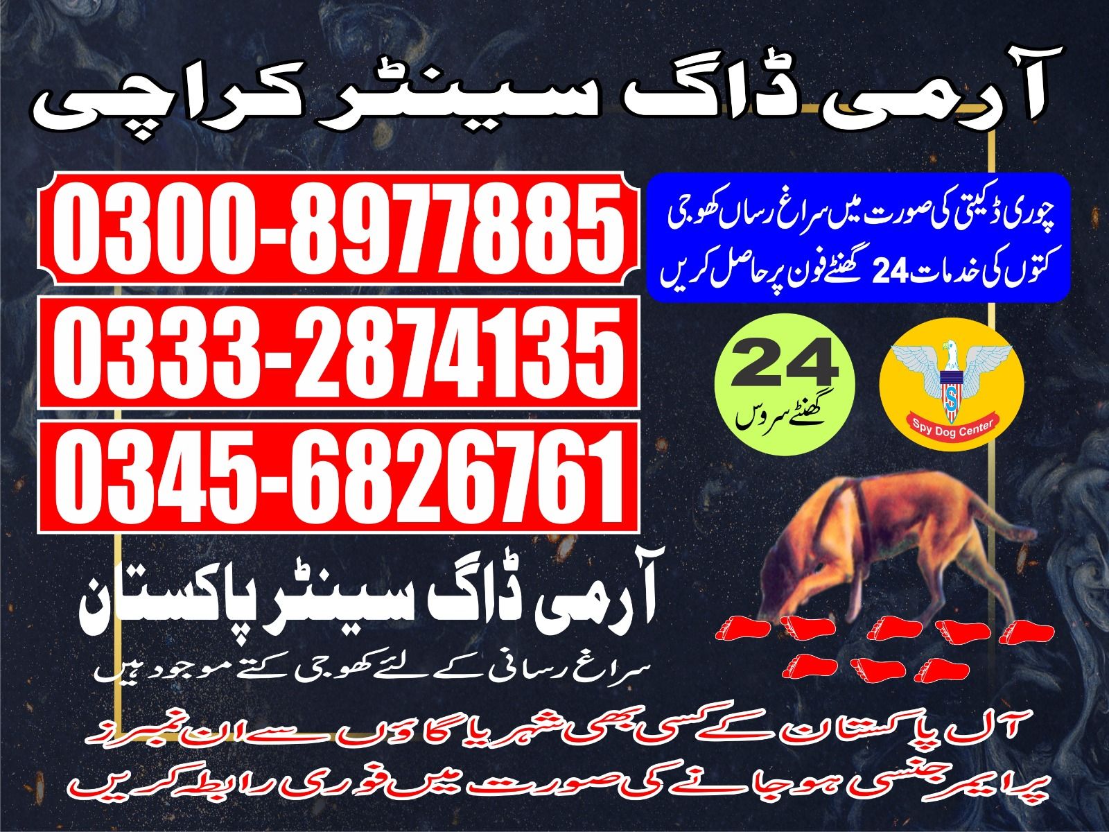 Army Dog Center | Karachi | 03008977885