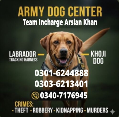 Army Dog Center Abbottabad 03016244888 Khoji Dogs Abbottabad