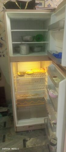 Singer fridge