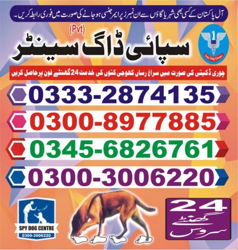 Army Dog Center | Nawabshah | 03332874135