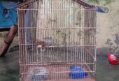 Cage sale good condition