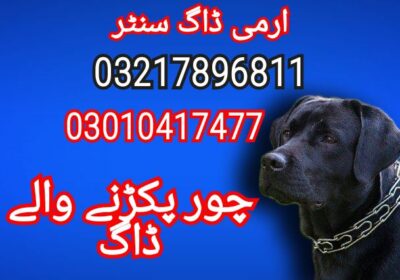 bedb878b-2578-445e-9cbb-cbbbba8b9d54