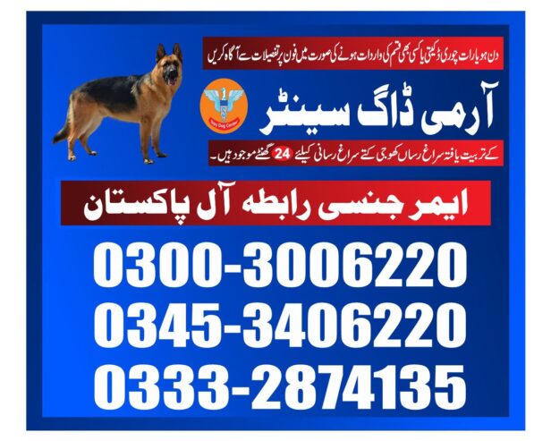 Army Dog Center | Mithi | 03008977885