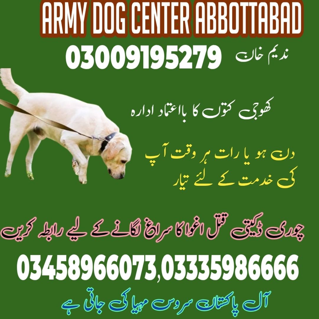 Army Dog Center Abbottabad 03005373788
