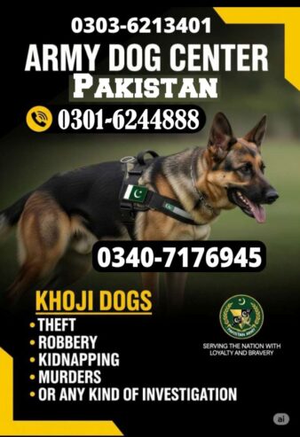 Army Dogs Center Kpk Kabal 03016244888 khoji Dogs Kabal