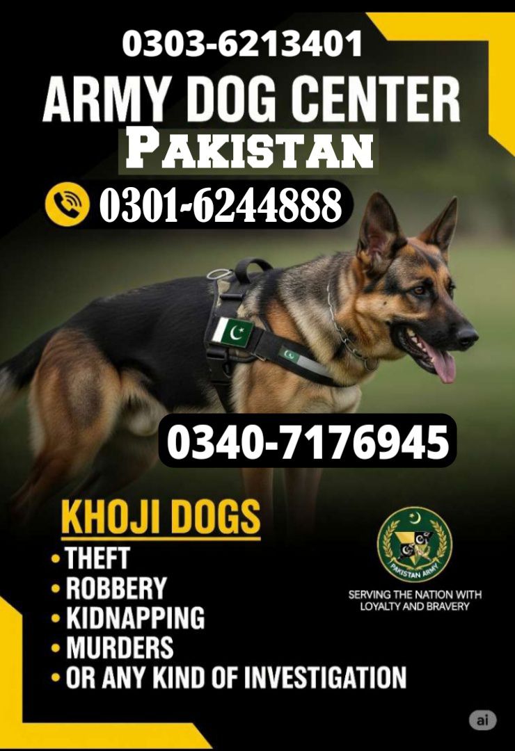 Army Dogs Center Kpk Kabal 03016244888 khoji Dogs Kabal