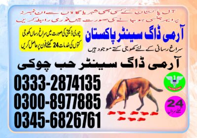 e0dd1ca9-28a5-45d7-b3aa-6c24cbdbfca5