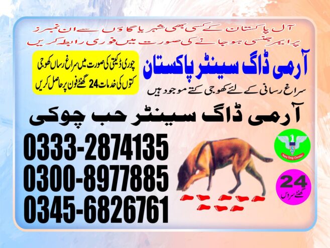 Army Dog Center | Hub chowki | 03003006220